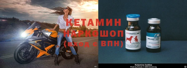 дживик Белокуриха