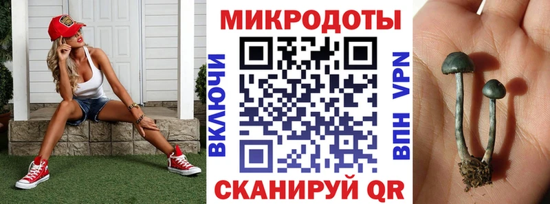 kraken зеркало  наркотики  Великий Новгород  Галлюциногенные грибы ЛСД 
